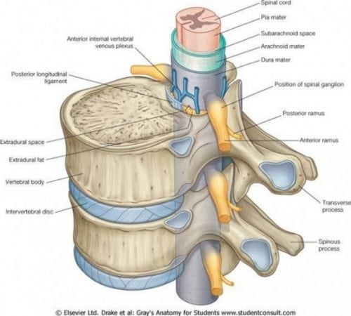 spinal fluid leak during back surgery