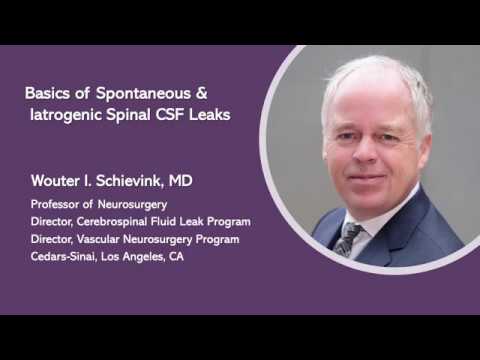 Wouter I. Schievink, MD - Basics of Spontaneous & Iatrogenic Spinal CSF Leaks