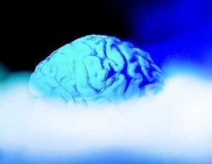 Investigating Brain Fog in Spontaneous Intracranial Hypotension