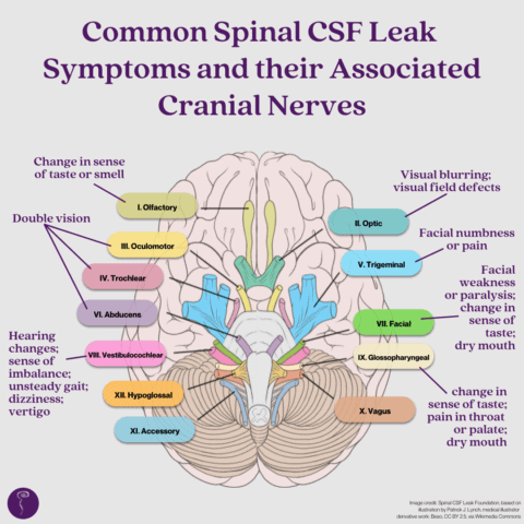 Brain Awareness Week: Day Four - Spinal CSF Leak Foundation