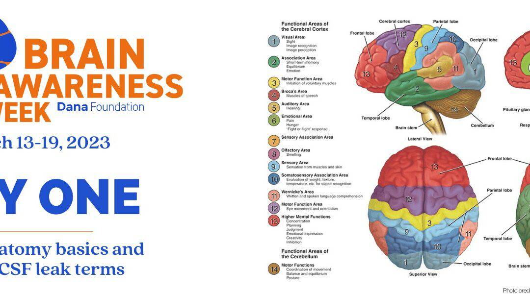 Brain Awareness Week: Day One