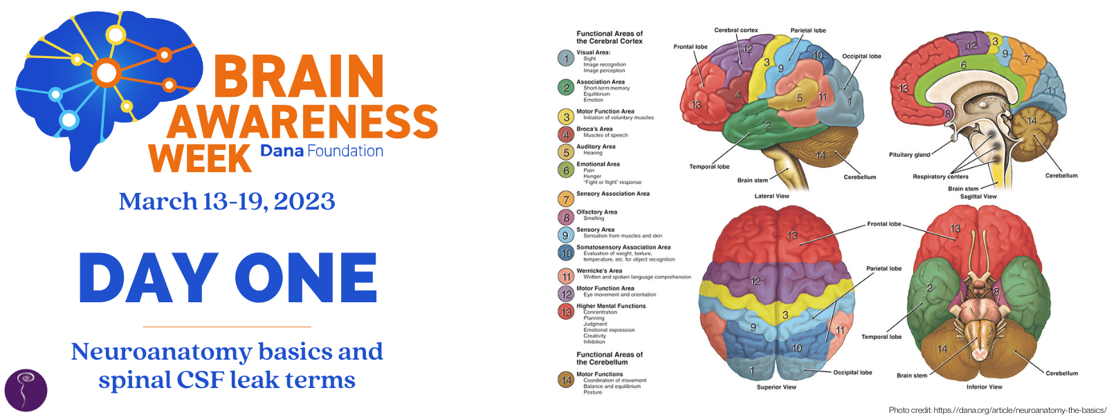 Brain Awareness Week: Day One