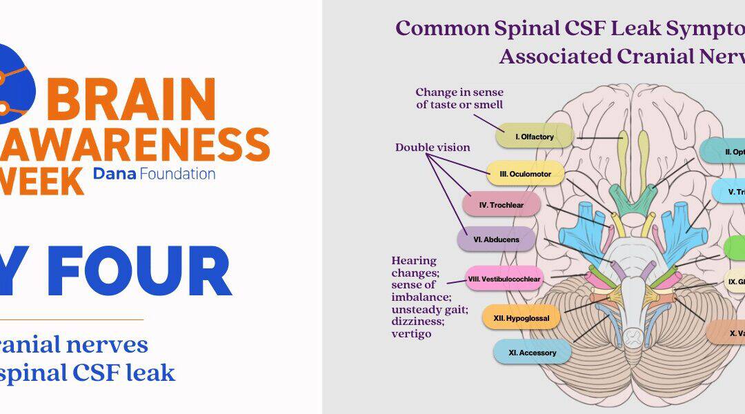 Brain Awareness Week: Day Four