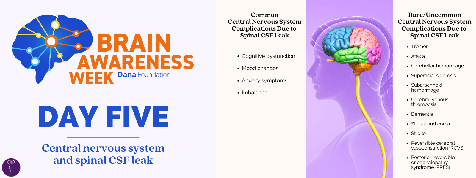 Brain awareness week day five: central nervous system and spinal CSF leak