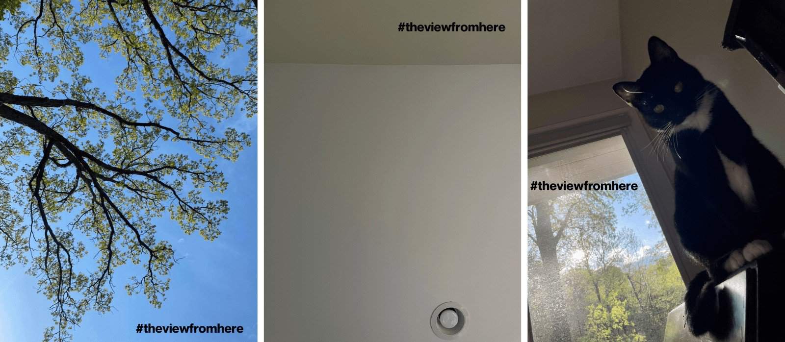 three photos showing various points of view as seen from the perspective of someone with a spinal CSF leak laying flat and looking up