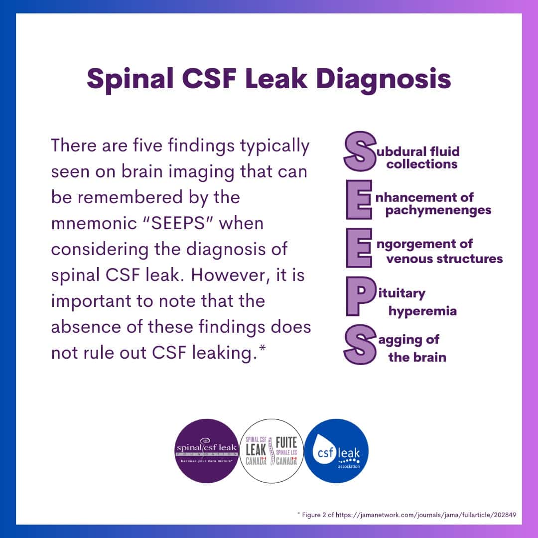 Leak week 2023 diagnosis SEEPS