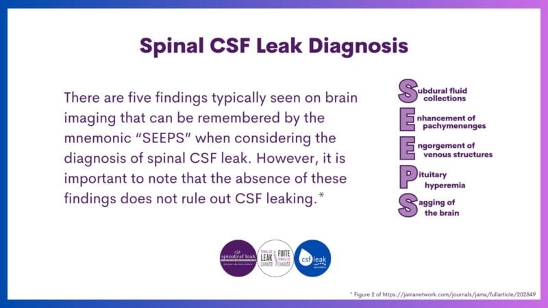 Leak Week 2023: Diagnosis, SEEPS