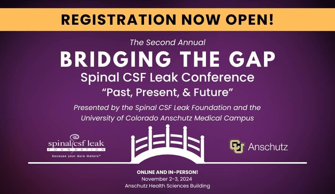 Registration for Bridging the Gap 2024 is now open!