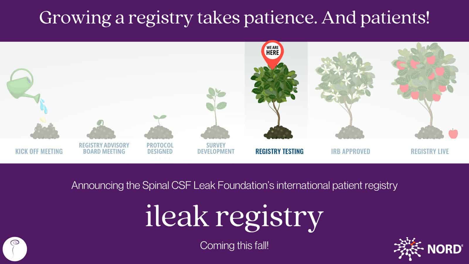 spinal CSF leak international patient registry