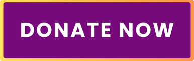 donate to the spinal CSF Leak foundation
