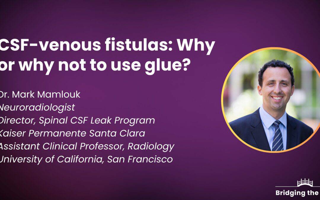 Physician talk: CSF-venous fistulas: Why or why not to use glue? — Dr. Mark Mamlouk